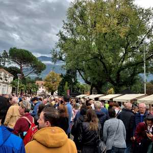 Weinfest Meran 2019
